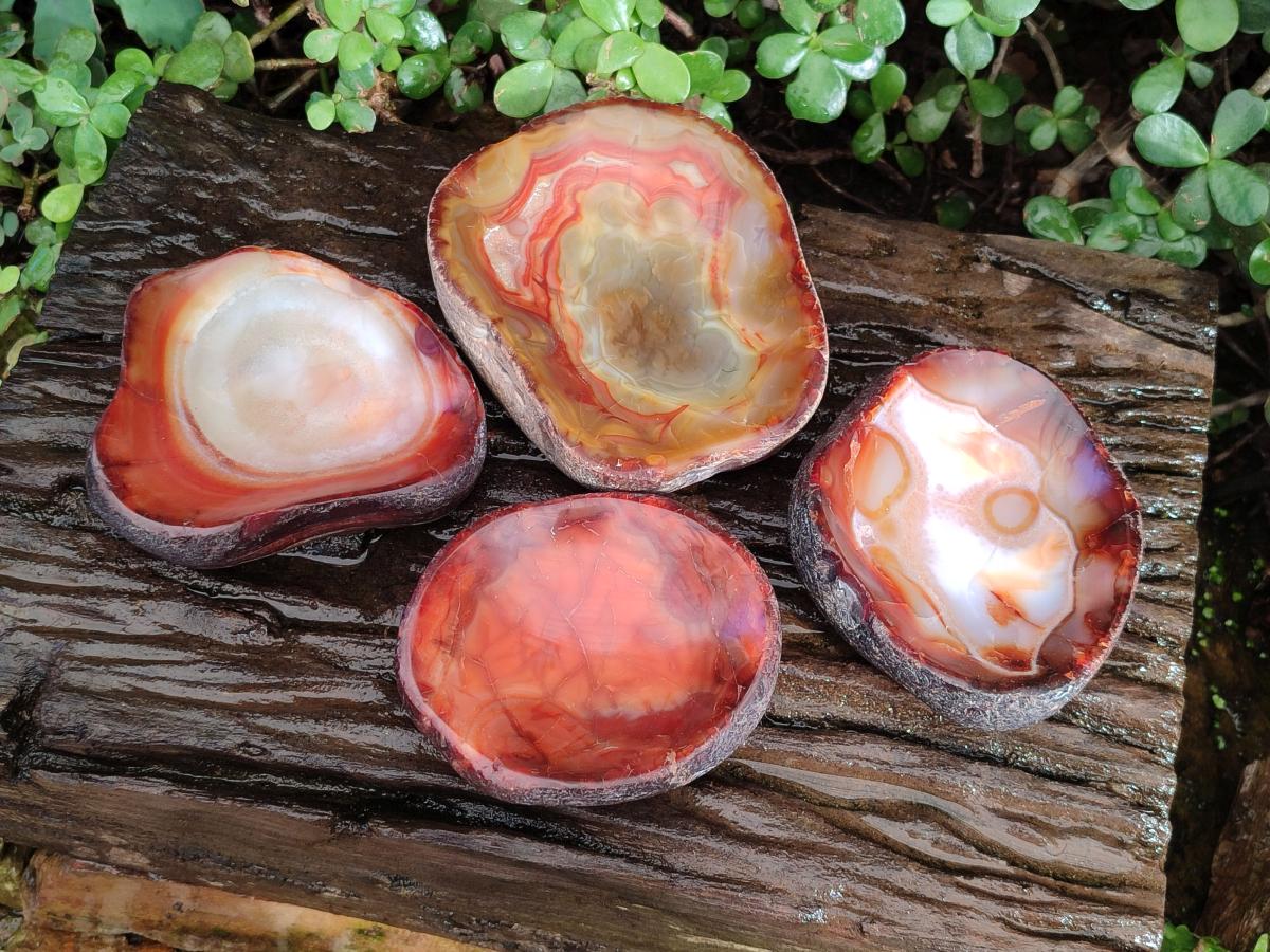 Polished On One Side Carnelian Agate Gemstone Bowls x 4 From Madagascar - Toprock Gemstones and Minerals 