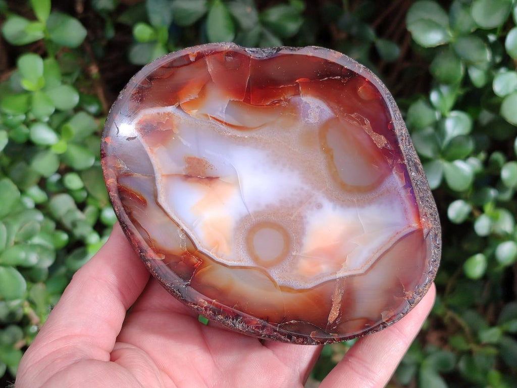 Polished On One Side Carnelian Agate Gemstone Bowls x 4 From Madagascar - Toprock Gemstones and Minerals 