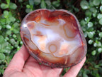 Polished On One Side Carnelian Agate Gemstone Bowls x 4 From Madagascar - Toprock Gemstones and Minerals 