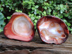 Polished On One Side Carnelian Agate Gemstone Bowls x 4 From Madagascar - Toprock Gemstones and Minerals 