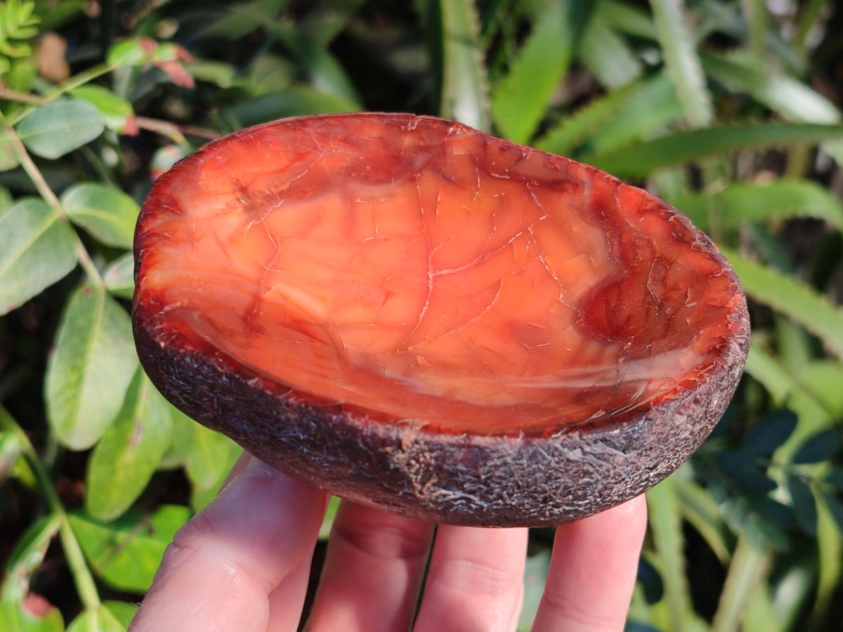 Polished On One Side Carnelian Agate Gemstone Bowls x 4 From Madagascar - Toprock Gemstones and Minerals 