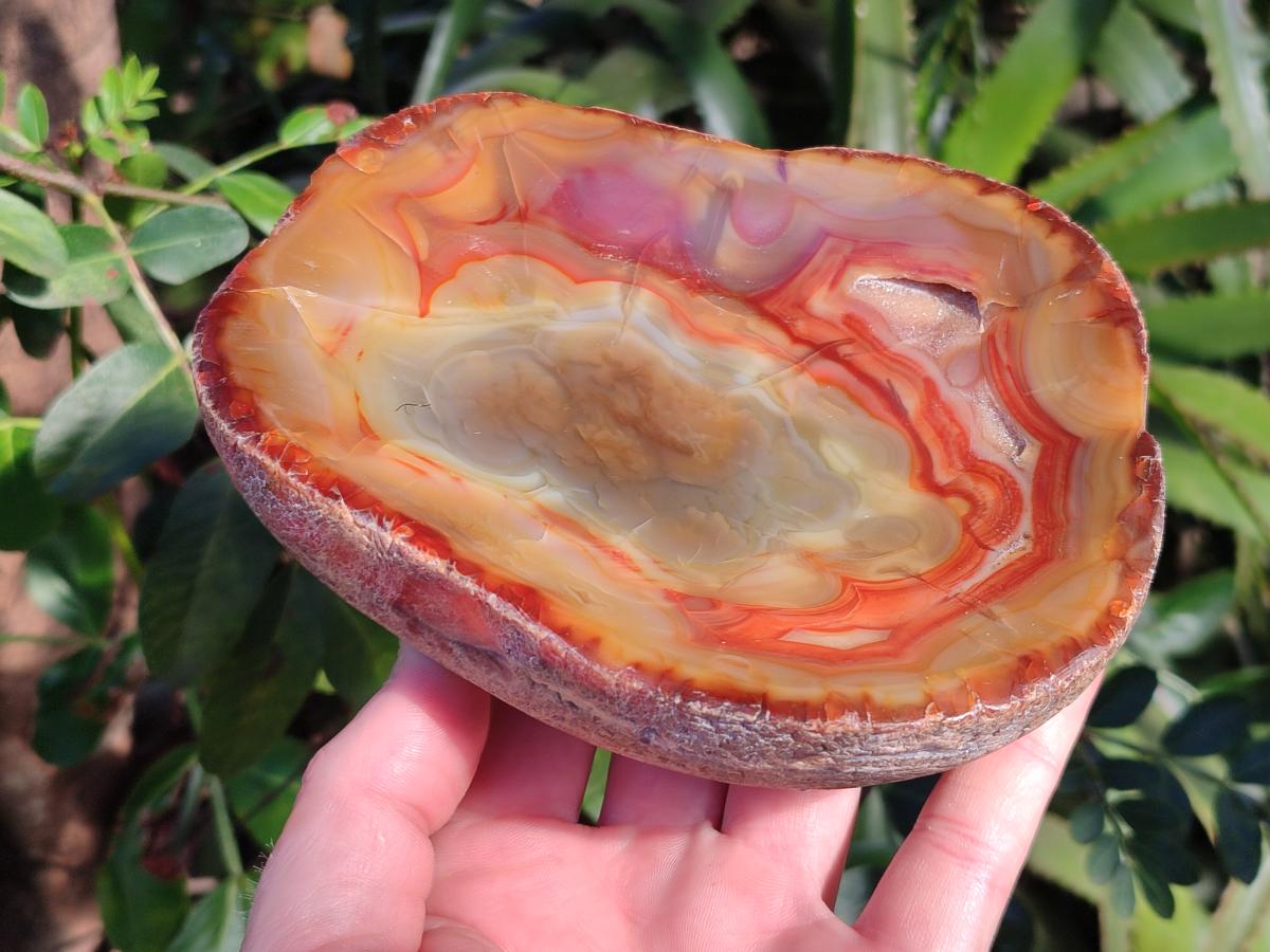 Polished On One Side Carnelian Agate Gemstone Bowls x 4 From Madagascar - Toprock Gemstones and Minerals 