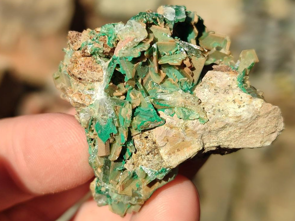Natural Rare Bladed Barite Specimens with Malachite x 12 From Shangulowé Mine, Congo - Toprock Gemstones and Minerals 