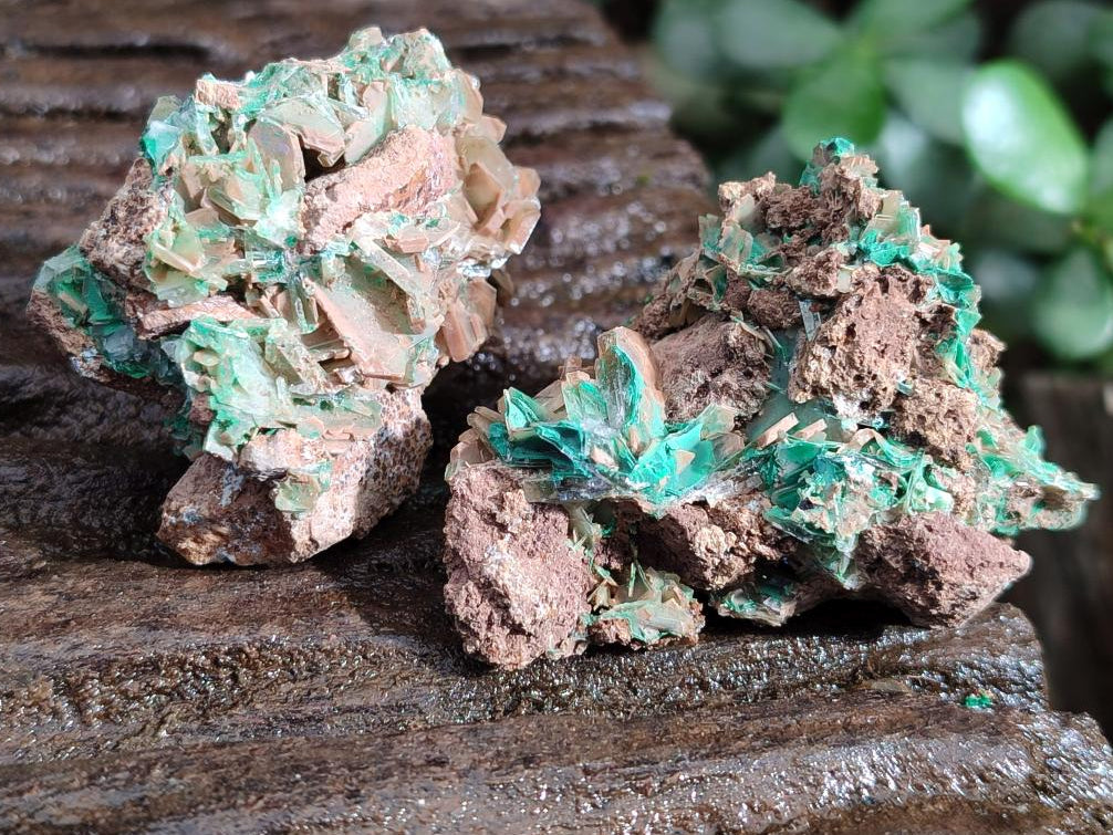 Natural Rare Bladed Barite Specimens with Malachite x 12 From Shangulowé Mine, Congo - Toprock Gemstones and Minerals 