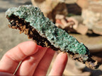 Natural Rare Bladed Barite Specimens with Malachite x 12 From Shangulowé Mine, Congo - Toprock Gemstones and Minerals 