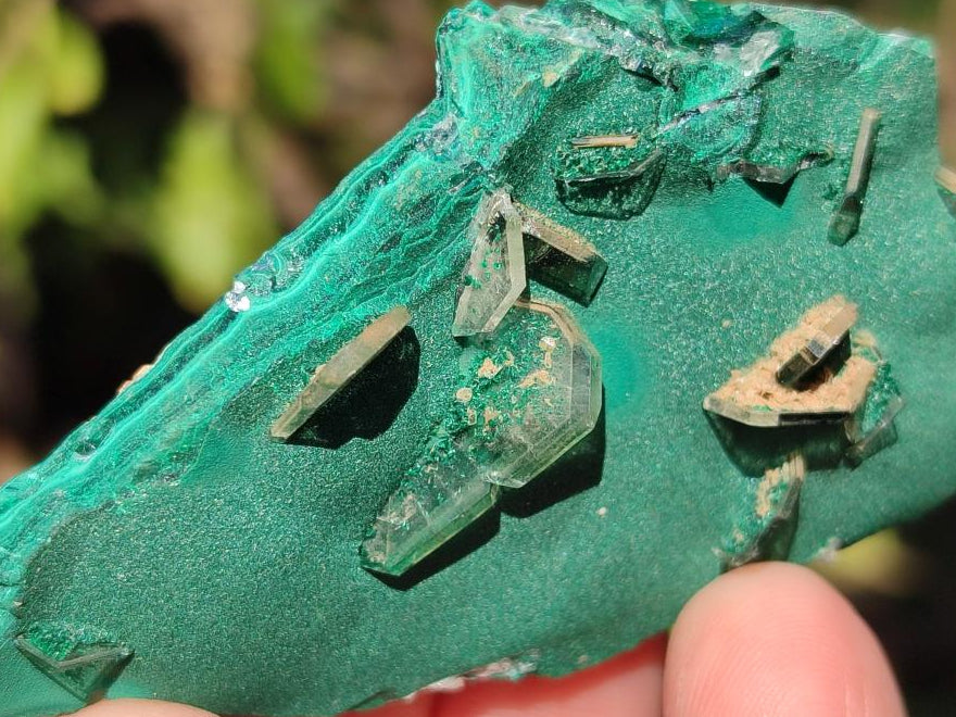 Natural Rare Bladed Barite Specimens with Malachite x 12 From Shangulowé Mine, Congo - Toprock Gemstones and Minerals 
