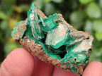Natural Rare Bladed Barite Specimens with Malachite x 12 From Shangulowé Mine, Congo - Toprock Gemstones and Minerals 