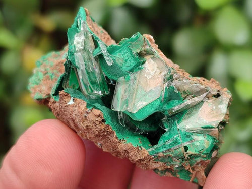 Natural Rare Bladed Barite Specimens with Malachite x 12 From Shangulowé Mine, Congo - Toprock Gemstones and Minerals 