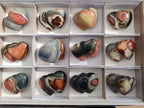 Polished Polychrome Jasper Twin Hearts x 12 From NW Coast, Madagascar - Toprock Gemstones and Minerals 
