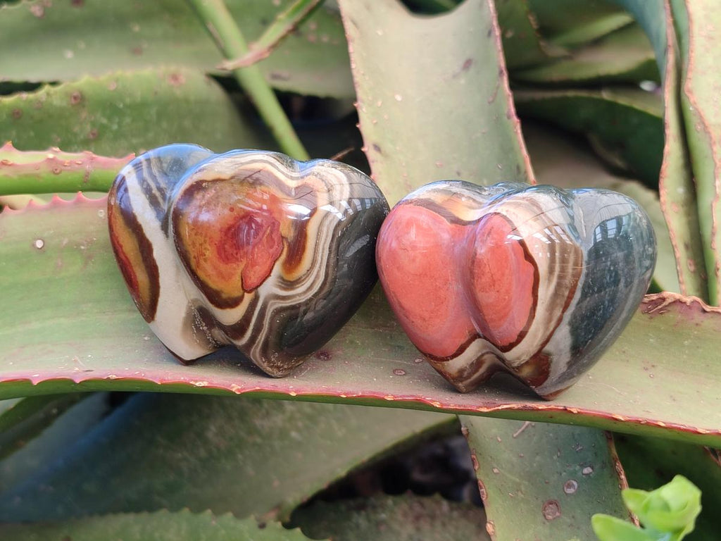 Polished Polychrome Jasper Twin Hearts x 12 From NW Coast, Madagascar - Toprock Gemstones and Minerals 