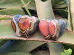 Polished Polychrome Jasper Twin Hearts x 12 From NW Coast, Madagascar - Toprock Gemstones and Minerals 