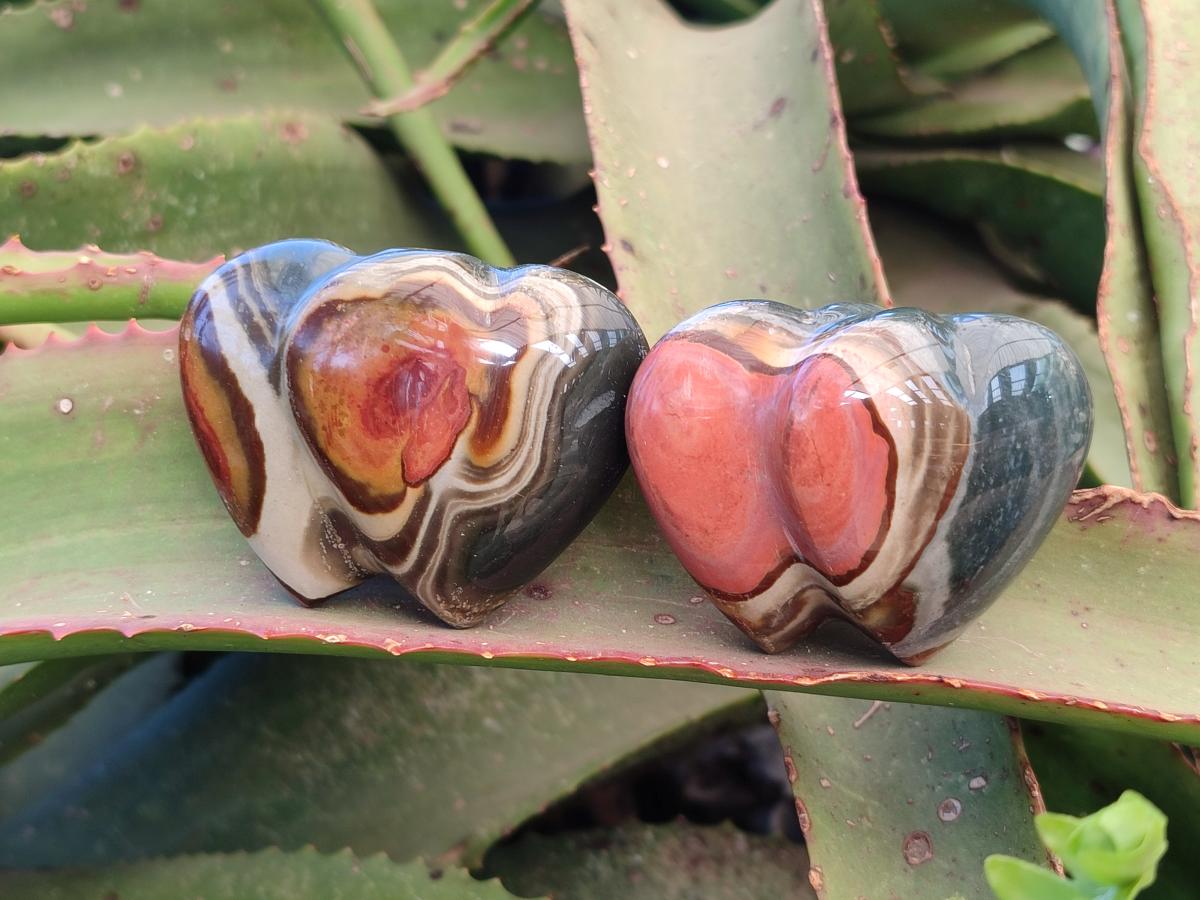 Polished Polychrome Jasper Twin Hearts x 12 From NW Coast, Madagascar - Toprock Gemstones and Minerals 