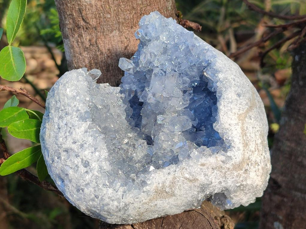 Natural Large Blue Celestite Geode Specimen x 1 From Sakoany, Madagascar - Toprock Gemstones and Minerals 