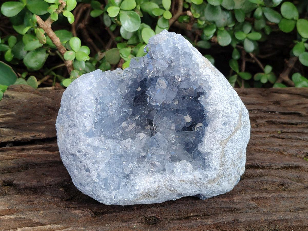 Natural Large Blue Celestite Geode Specimen x 1 From Sakoany, Madagascar - Toprock Gemstones and Minerals 