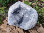 Natural Large Blue Celestite Geode Specimen x 1 From Sakoany, Madagascar - Toprock Gemstones and Minerals 