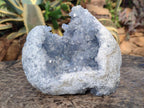 Natural Large Blue Celestite Geode Specimen x 1 From Sakoany, Madagascar - Toprock Gemstones and Minerals 