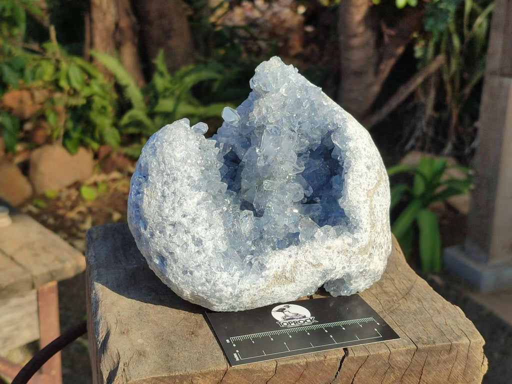 Natural Large Blue Celestite Geode Specimen x 1 From Sakoany, Madagascar - Toprock Gemstones and Minerals 