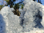 Natural Large Blue Celestite Geode Specimen x 1 From Sakoany, Madagascar - Toprock Gemstones and Minerals 