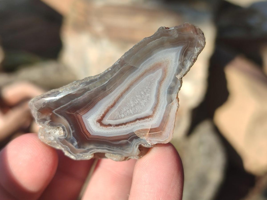 Polished One Side Red Shashe River Agate Nodules x 27 From Shashe River, Zimbabwe - Toprock Gemstones and Minerals 