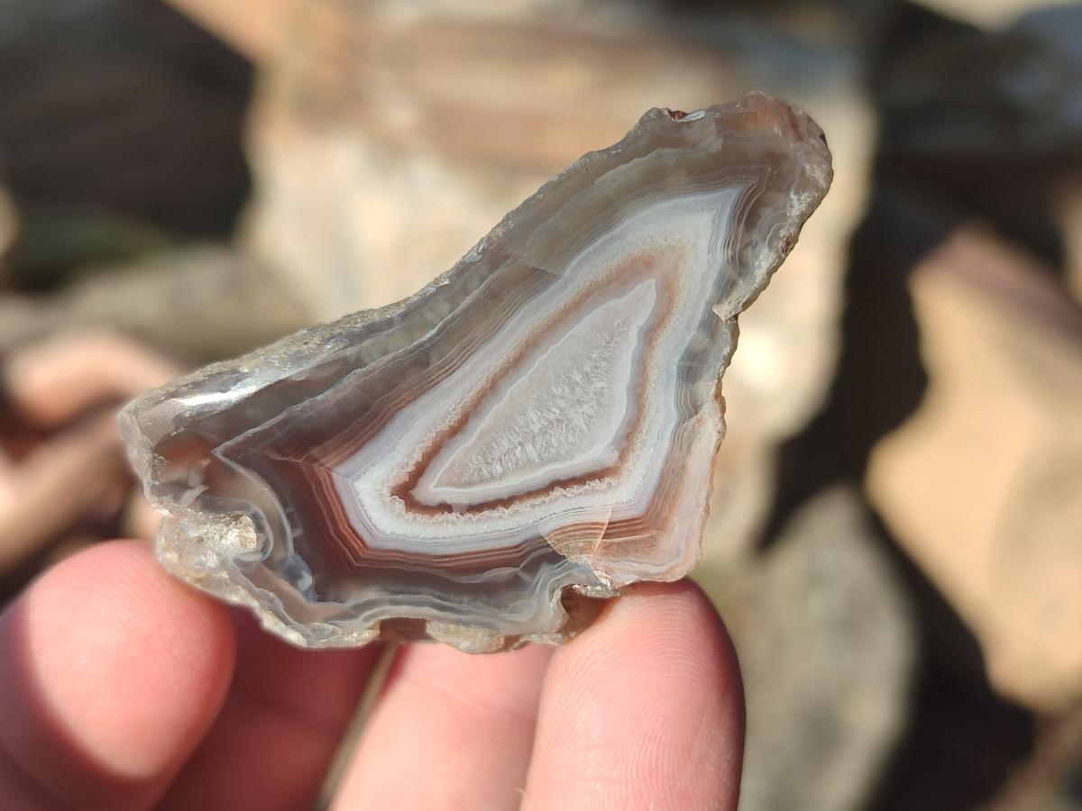 Polished One Side Red Shashe River Agate Nodules x 27 From Shashe River, Zimbabwe - Toprock Gemstones and Minerals 