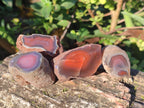 Polished One Side Red Shashe River Agate Nodules x 27 From Shashe River, Zimbabwe - Toprock Gemstones and Minerals 