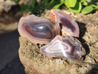 Polished One Side Red Shashe River Agate Nodules x 27 From Shashe River, Zimbabwe - Toprock Gemstones and Minerals 