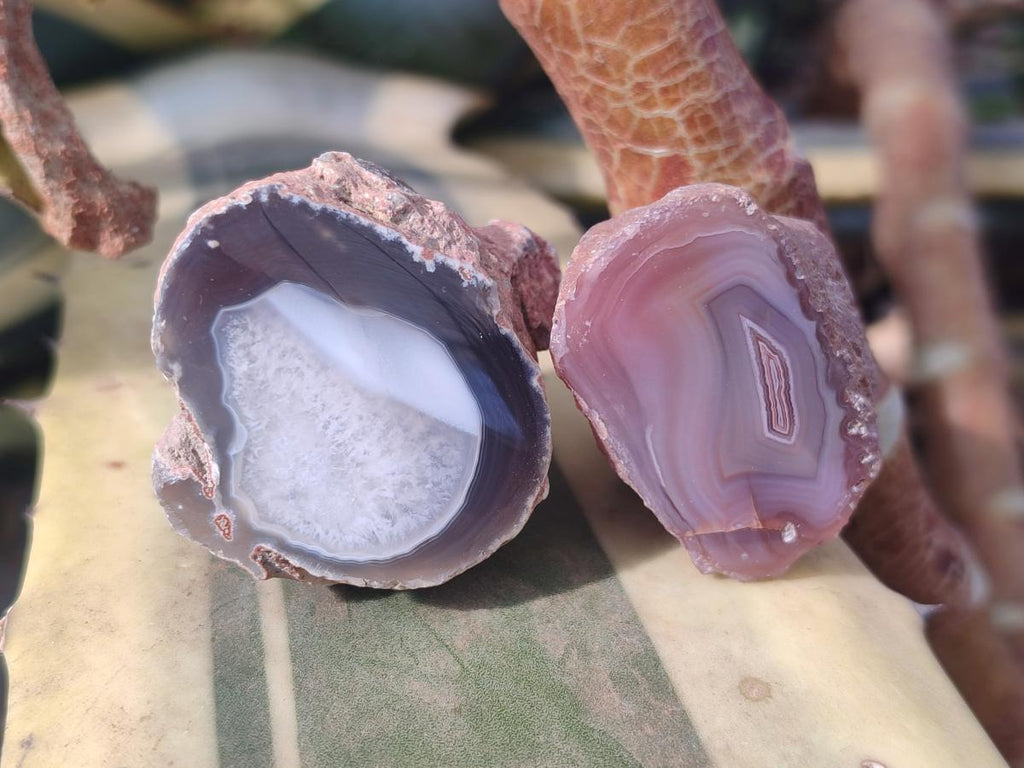Polished One Side Red Shashe River Agate Nodules x 27 From Shashe River, Zimbabwe - Toprock Gemstones and Minerals 