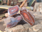 Polished One Side Red Shashe River Agate Nodules x 27 From Shashe River, Zimbabwe - Toprock Gemstones and Minerals 