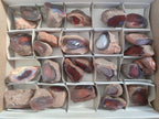 Polished One Side Red Shashe River Agate Nodules x 27 From Shashe River, Zimbabwe - Toprock Gemstones and Minerals 