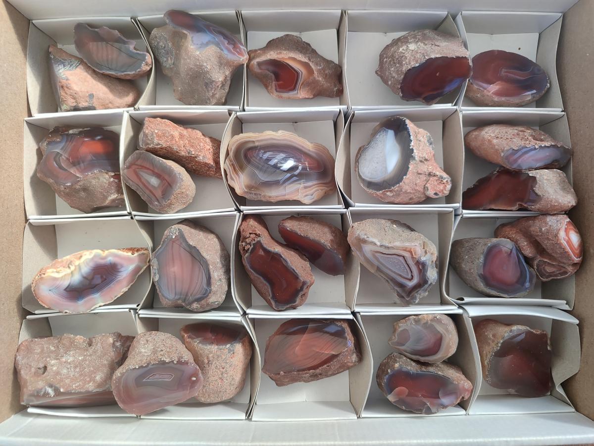 Polished One Side Red Shashe River Agate Nodules x 27 From Shashe River, Zimbabwe - Toprock Gemstones and Minerals 