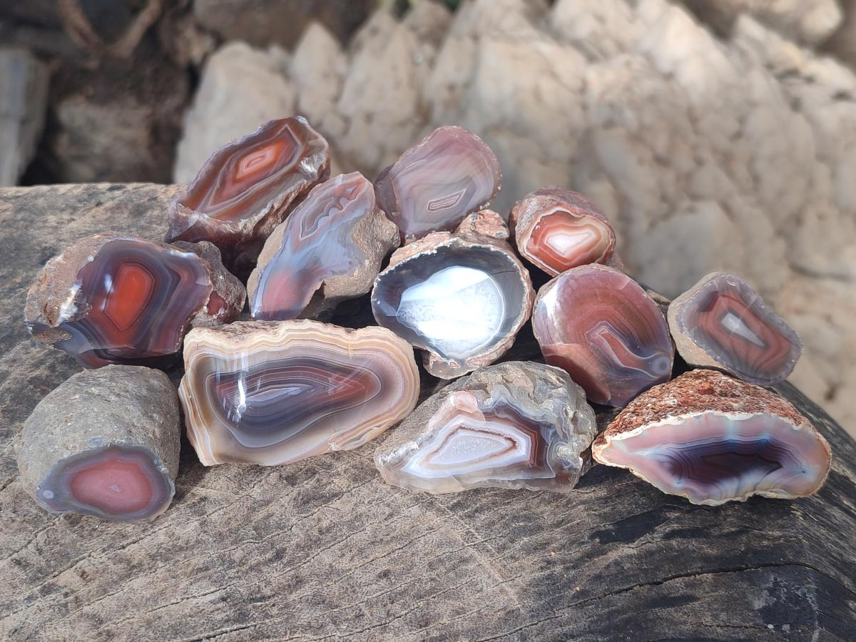 Polished One Side Red Shashe River Agate Nodules x 27 From Shashe River, Zimbabwe - Toprock Gemstones and Minerals 