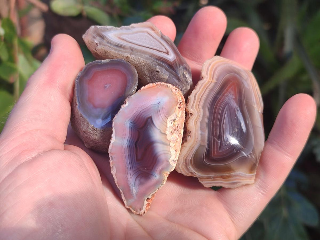 Polished One Side Red Shashe River Agate Nodules x 27 From Shashe River, Zimbabwe - Toprock Gemstones and Minerals 
