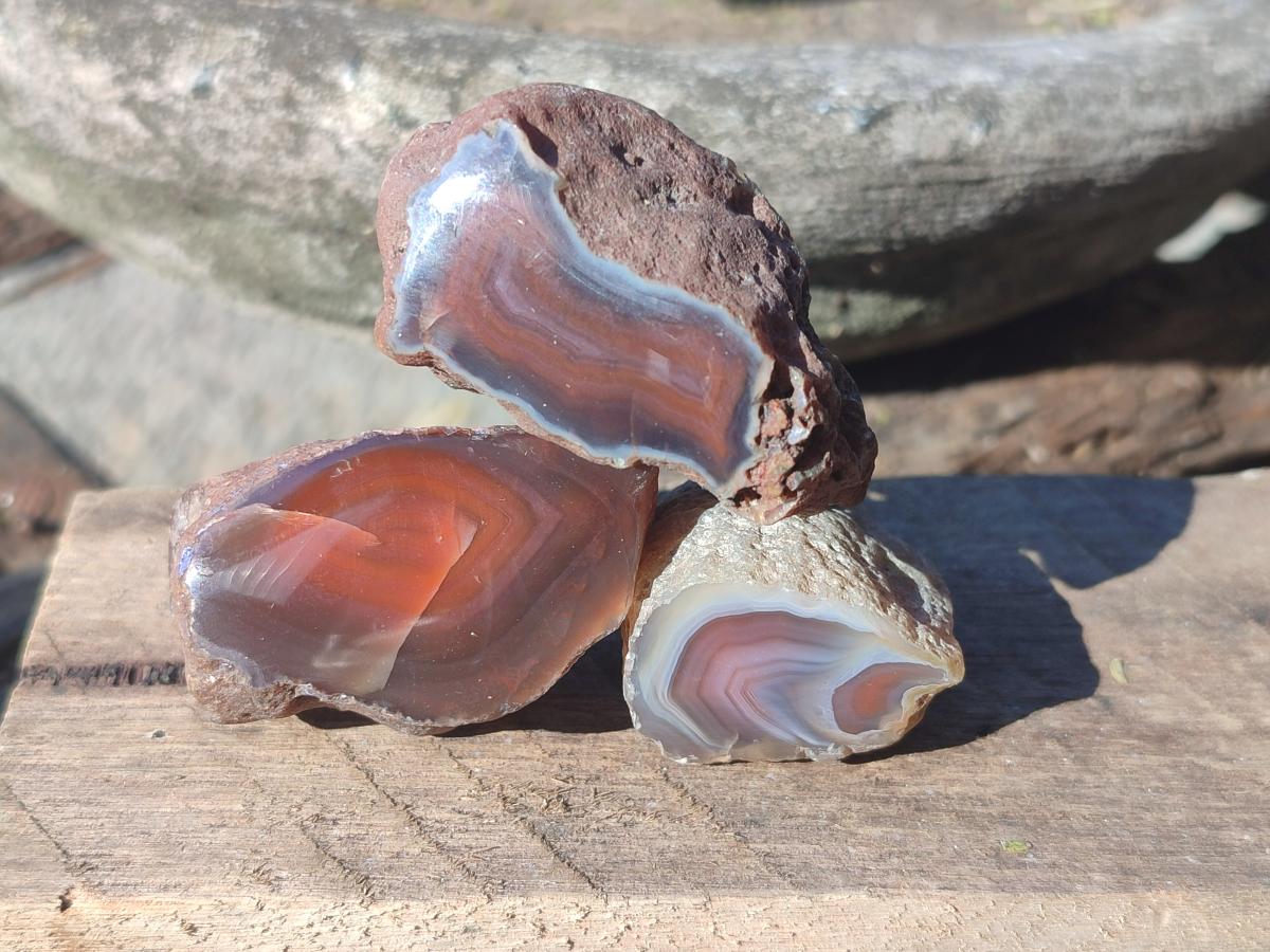 Polished One Side Red Shashe River Agate Nodules x 27 From Shashe River, Zimbabwe - Toprock Gemstones and Minerals 