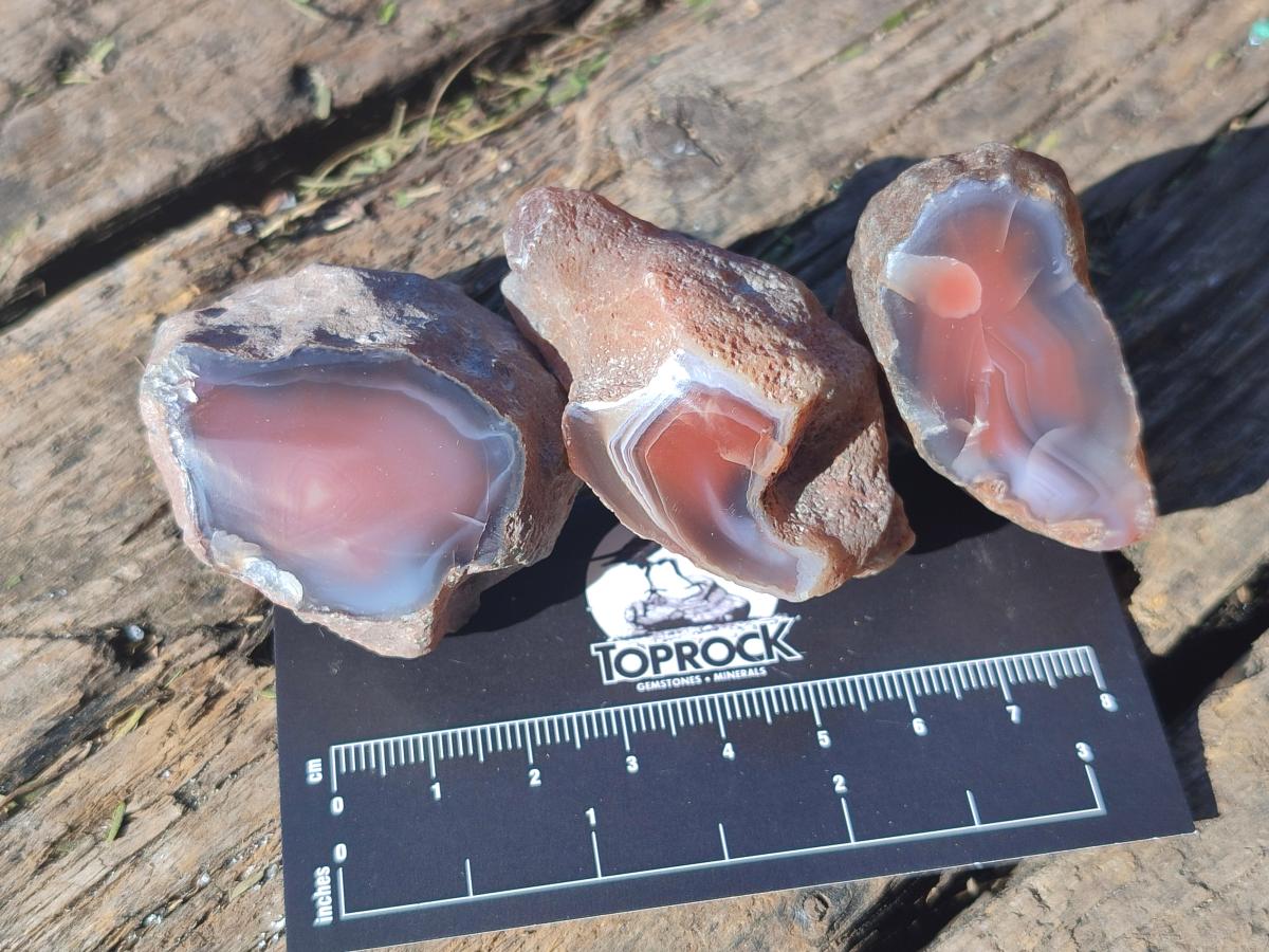 Polished One Side Red Shashe River Agate Nodules x 27 From Shashe River, Zimbabwe - Toprock Gemstones and Minerals 