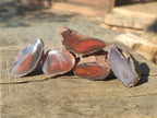 Polished One Side Red Shashe River Agate Nodules x 27 From Shashe River, Zimbabwe - Toprock Gemstones and Minerals 