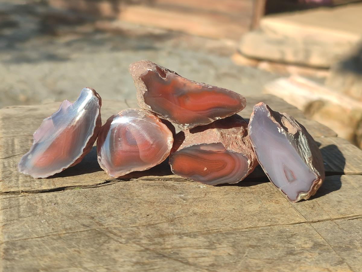 Polished One Side Red Shashe River Agate Nodules x 27 From Shashe River, Zimbabwe - Toprock Gemstones and Minerals 