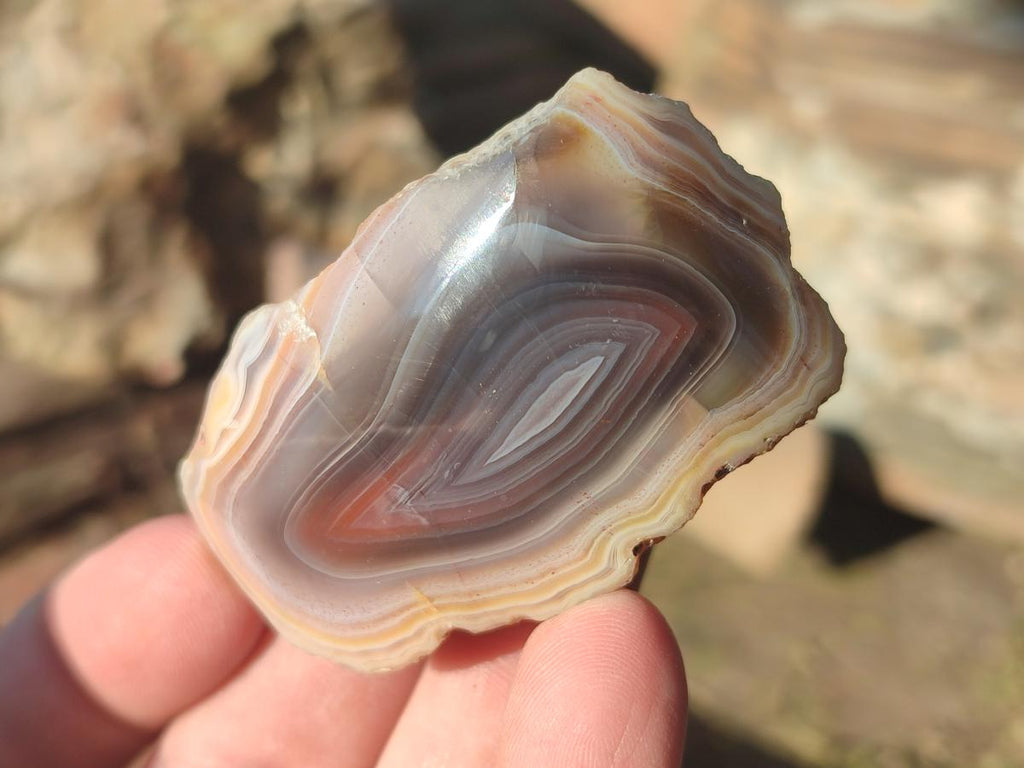 Polished One Side Red Shashe River Agate Nodules x 27 From Shashe River, Zimbabwe - Toprock Gemstones and Minerals 