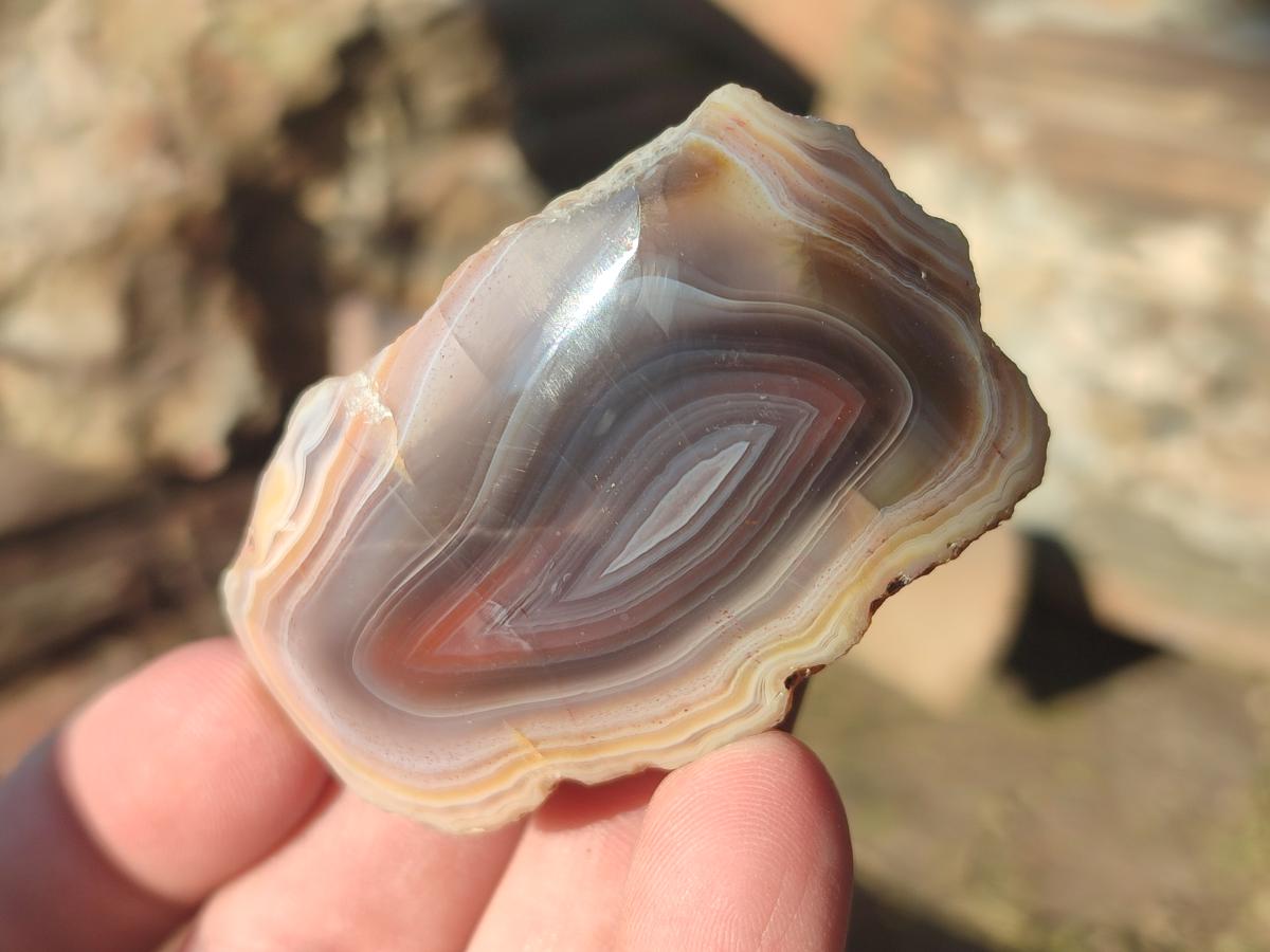 Polished One Side Red Shashe River Agate Nodules x 27 From Shashe River, Zimbabwe - Toprock Gemstones and Minerals 