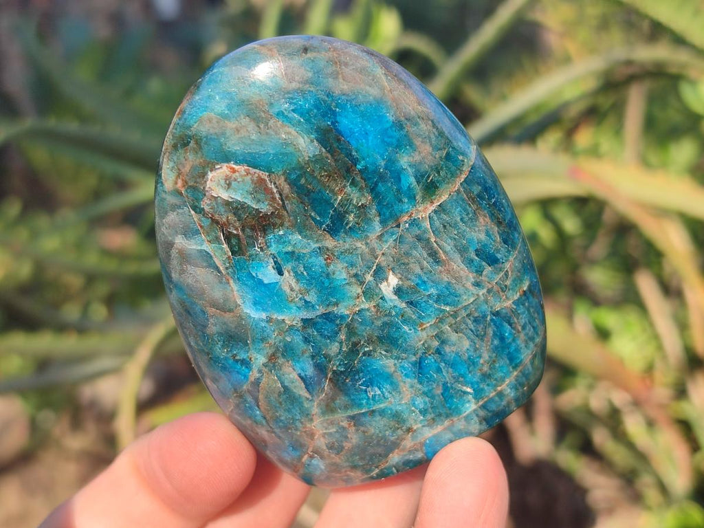 Polished Blue Apatite Standing Display Pieces x 6 From Betroka, Madagascar - Toprock Gemstones and Minerals 