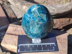 Polished Blue Apatite Standing Display Pieces x 6 From Betroka, Madagascar - Toprock Gemstones and Minerals 