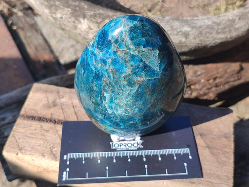Polished Blue Apatite Standing Display Pieces x 6 From Betroka, Madagascar - Toprock Gemstones and Minerals 