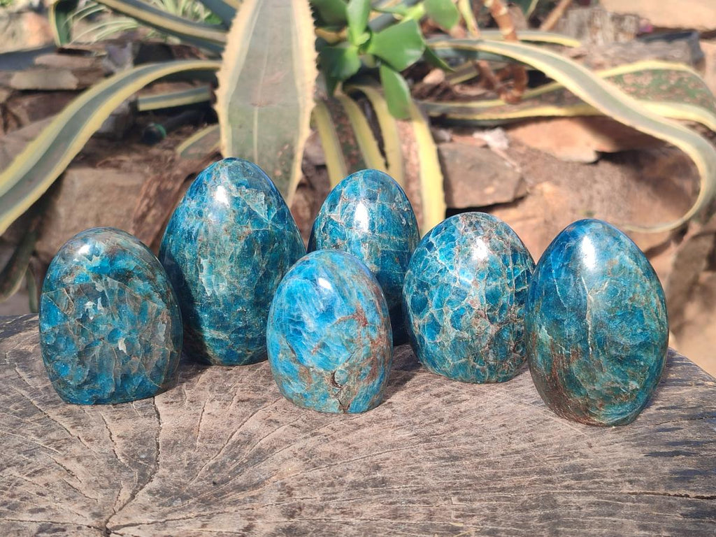 Polished Blue Apatite Standing Display Pieces x 6 From Betroka, Madagascar - Toprock Gemstones and Minerals 