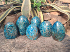 Polished Blue Apatite Standing Display Pieces x 6 From Betroka, Madagascar - Toprock Gemstones and Minerals 