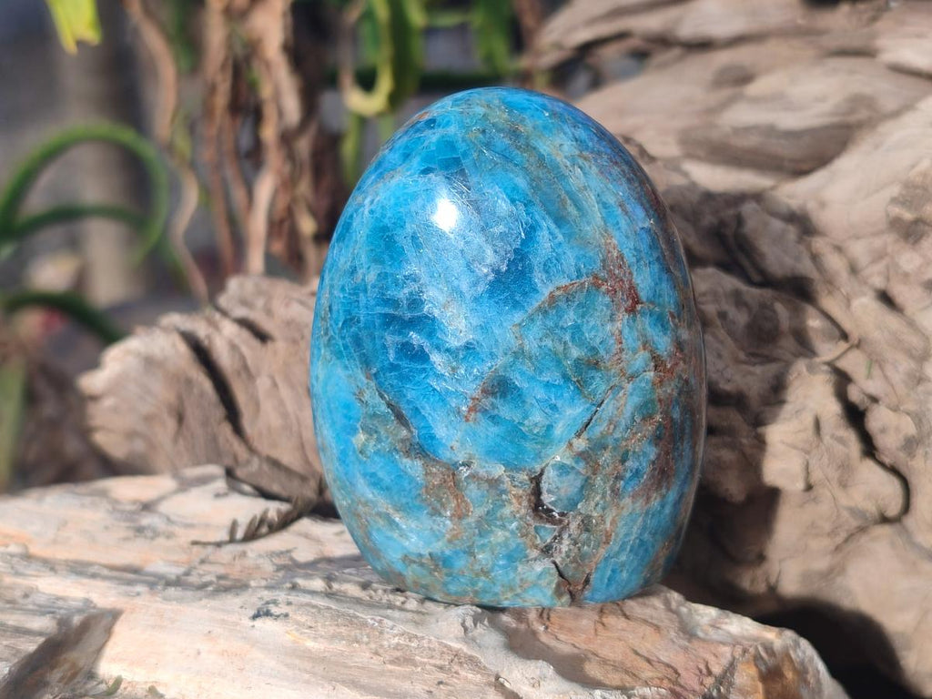 Polished Blue Apatite Standing Display Pieces x 6 From Betroka, Madagascar - Toprock Gemstones and Minerals 