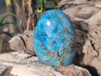 Polished Blue Apatite Standing Display Pieces x 6 From Betroka, Madagascar - Toprock Gemstones and Minerals 
