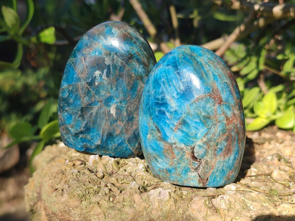 Polished Blue Apatite Standing Display Pieces x 6 From Betroka, Madagascar - Toprock Gemstones and Minerals 