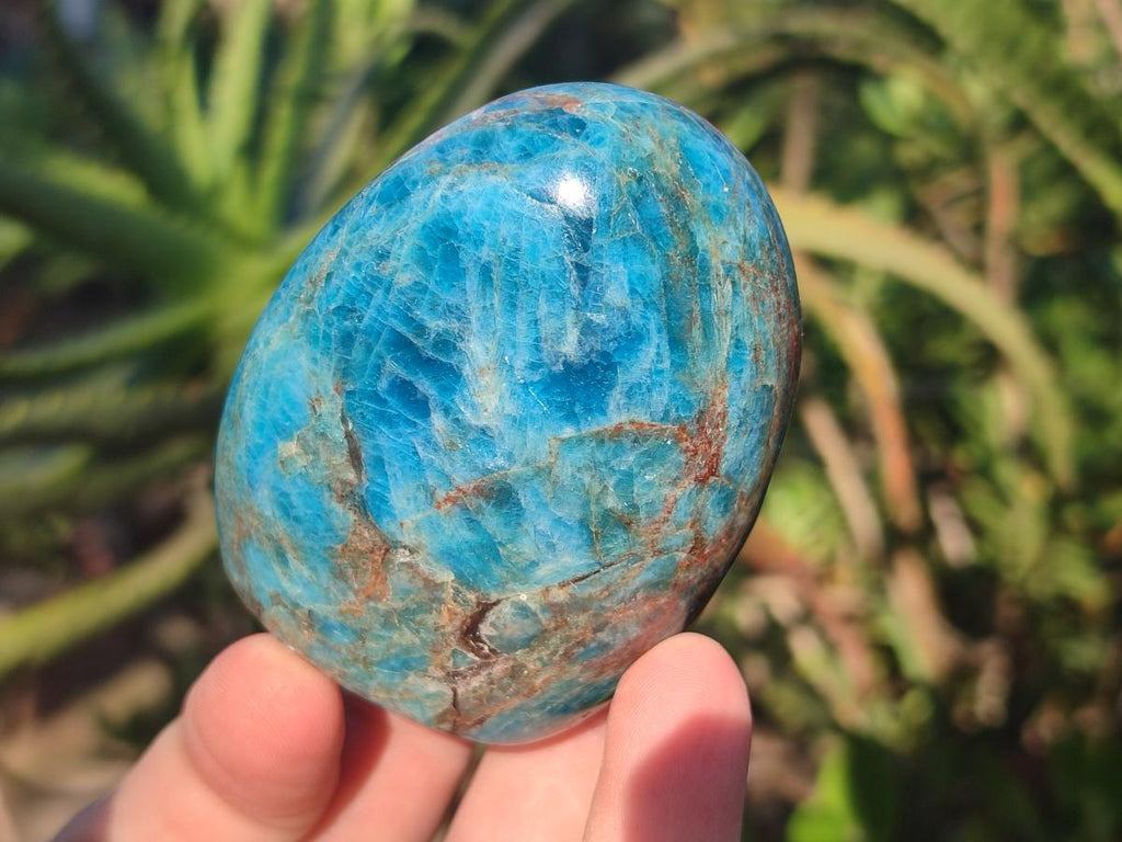 Polished Blue Apatite Standing Display Pieces x 6 From Betroka, Madagascar - Toprock Gemstones and Minerals 