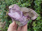 Natural Cobbed Stichtite Specimens x 10 From Barberton, South Africa - Toprock Gemstones and Minerals 