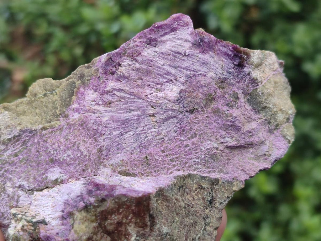 Natural Cobbed Stichtite Specimens x 10 From Barberton, South Africa - Toprock Gemstones and Minerals 