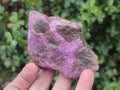 Natural Cobbed Stichtite Specimens x 10 From Barberton, South Africa - Toprock Gemstones and Minerals 